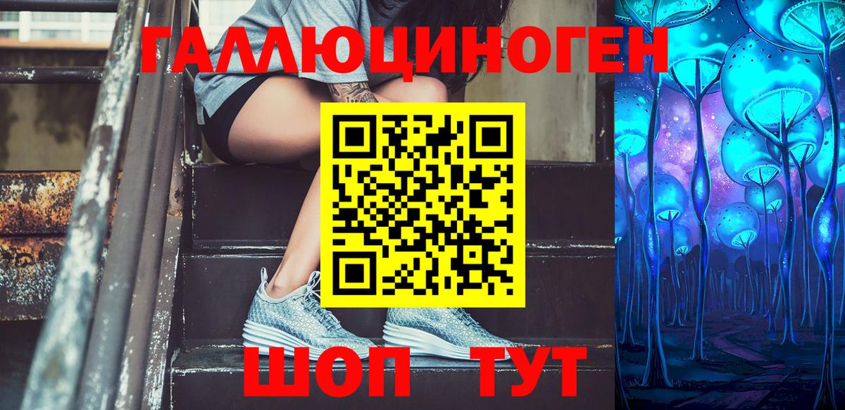 Звенигород  Псилоцибиновые грибы Psilocybine cubensis  Вход с VPN 